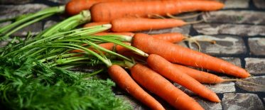 Zanahorias